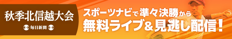 バーチャル高校野球 秋